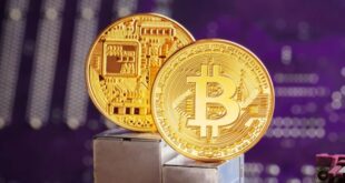Investasi Kripto Makin Ramai, Pajak Penghasilan Ikut Naik? Ini yang Perlu Kamu Tahu!