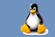 Filosofi Unik di Balik Logo Penguin Ikonik Linux, Pernah Tahu?