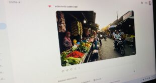 Bikin Video AI Keren Berbahasa Indonesia? Semudah Ini Pakai Veo 3!