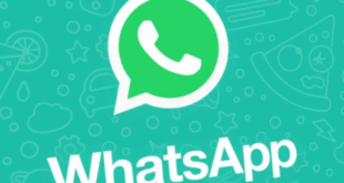 Kirim Pesan WhatsApp ke Siapa Saja Tanpa Ribet Simpan Nomor? Bisa Banget!
